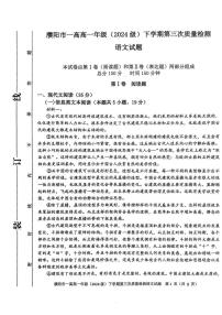 河南省濮阳市第一高级中学2024-2025学年高一下学期5月月考语文试题