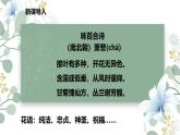 統(tǒng)編版高中語文必修上冊 3.1百合花課件+教案