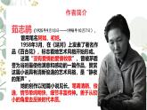 統(tǒng)編版高中語文必修上冊 3.1百合花課件+教案