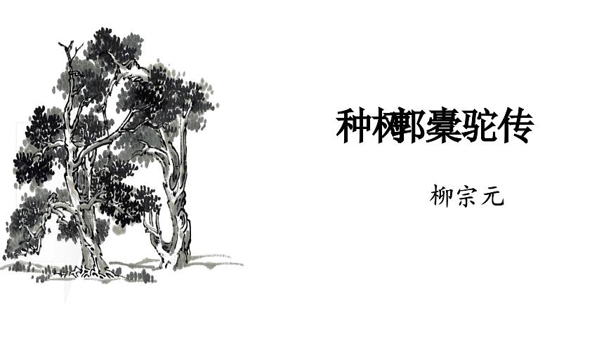 统编版高中语文选择性必修下册11.种树郭橐驼传课件第1页