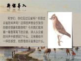統(tǒng)編版高中語(yǔ)文必修上冊(cè) 2,4 致云雀課件+教案（含視頻）