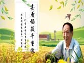 統(tǒng)編版高中語文必修上冊 4.1《喜看稻菽千重浪》課件+教案