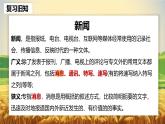 統(tǒng)編版高中語文必修上冊 4.1《喜看稻菽千重浪》課件+教案