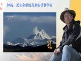 統(tǒng)編版高中語文必修上冊 4.3“探界者”鐘揚(yáng)課件+教案