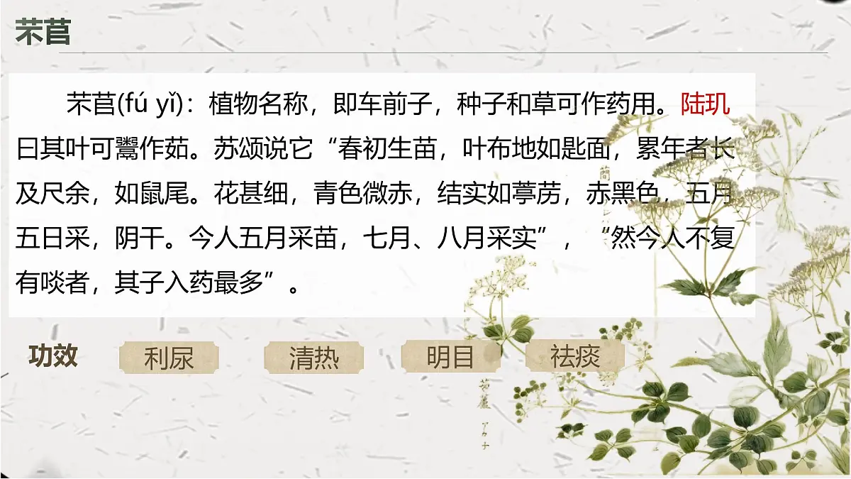 芣苢第8页
