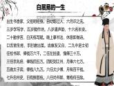 統(tǒng)編版高中語文必修上冊 8.3《琵琶行并序》課件+教案（含視頻）