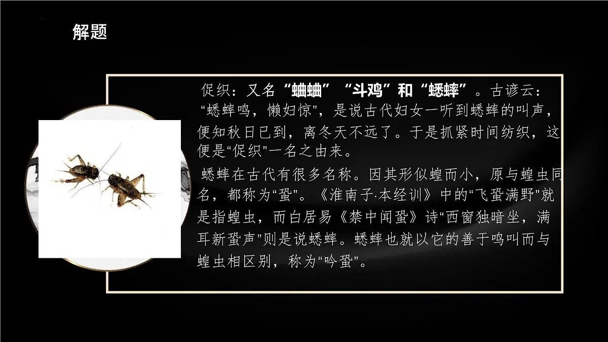 高中语文人教统编版 必修 下册 第六单元14.1 促织 课件第8页