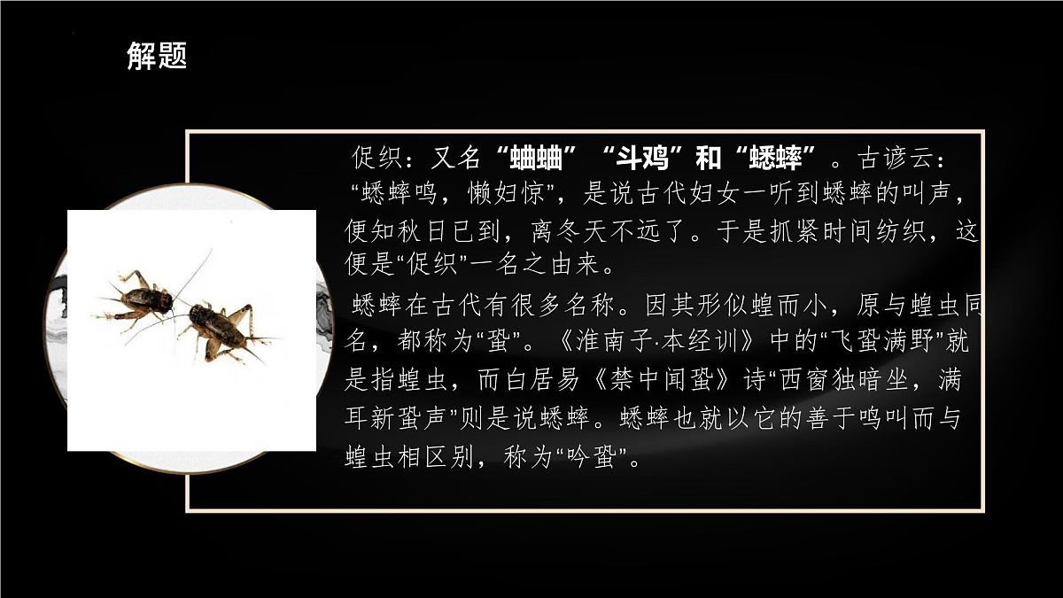 高中语文人教统编版 必修 下册 第六单元14.1 促织 课件第8页
