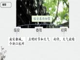 高中語文人教統(tǒng)編版選擇性必修 下冊古詩詞誦讀臨安春雨初霽 課件
