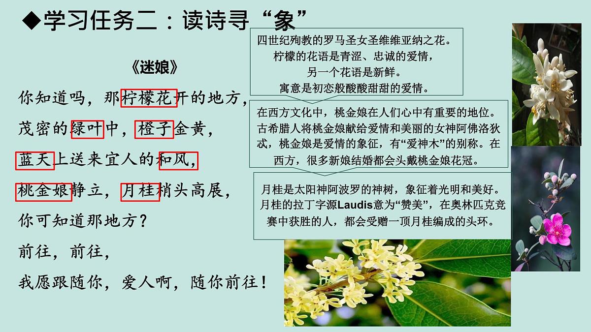高中语文人教统编版选择性必修 中册第四单元13.1 迷娘（之一）课件第8页