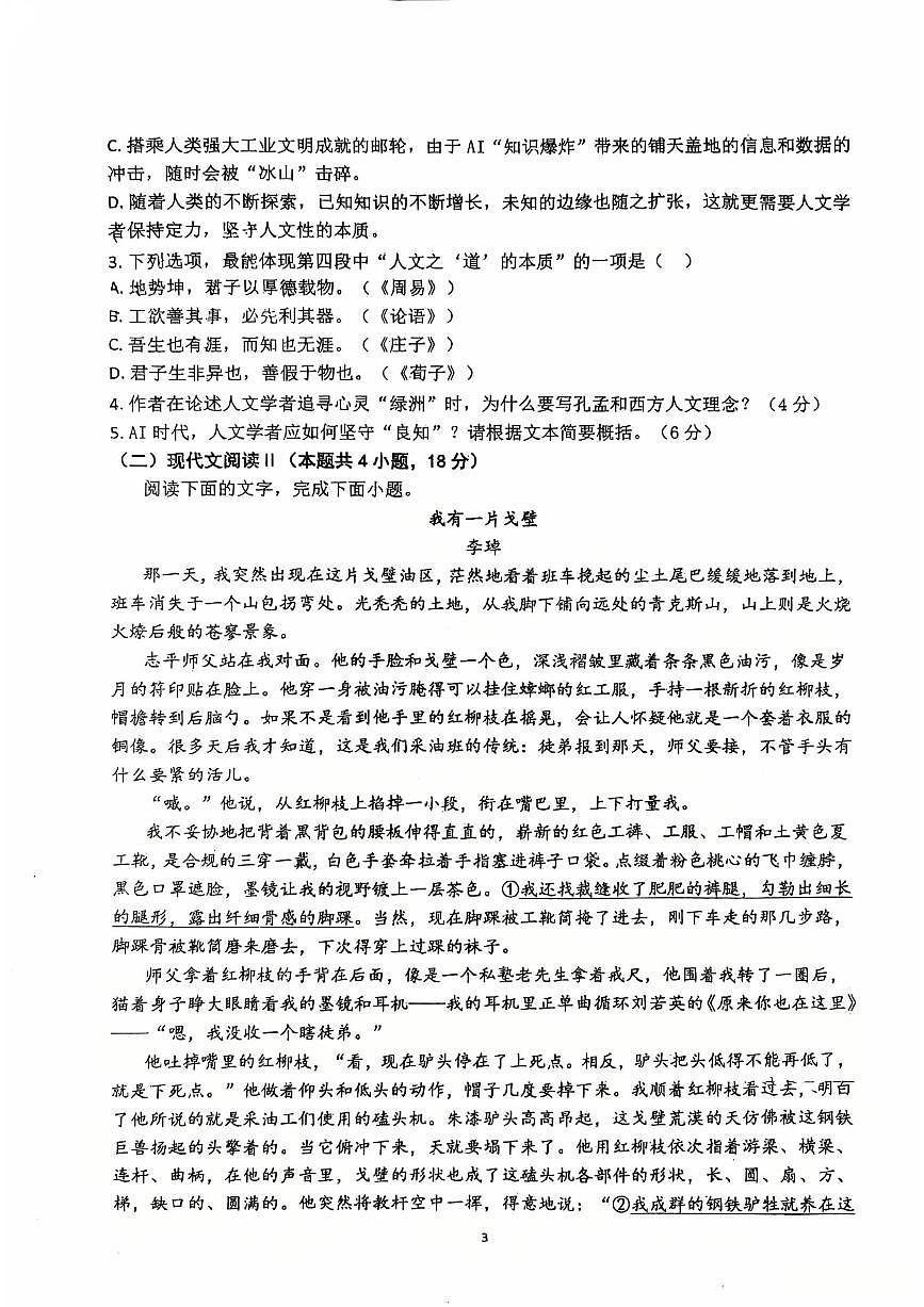 山东省莱州市第一中学2024-2025学年高二下学期6月第四次质量检测语文试卷（PDF版附答案）第3页