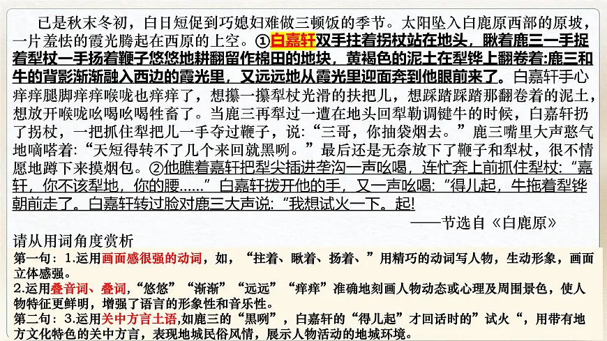 【备战 2026 年】高考语文一轮复习之《鉴赏小说语言》课件PPT第6页