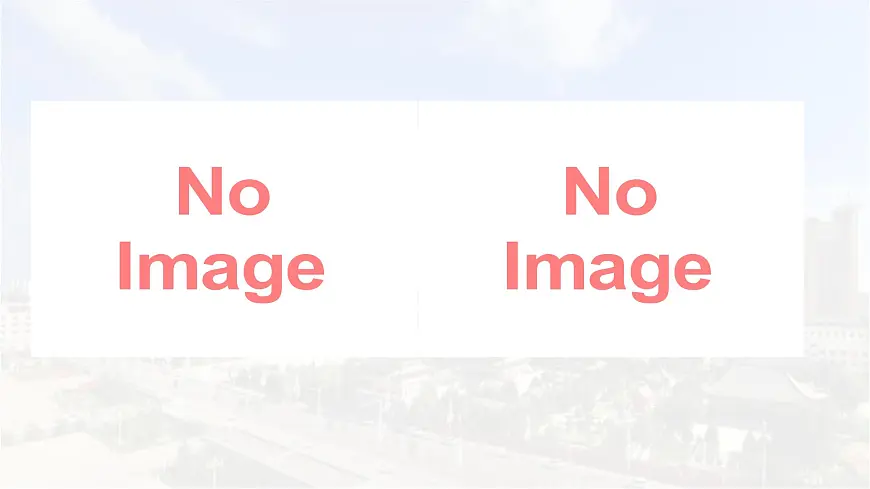 统编版高中语文必修上册教学课件《学习活动》第8页