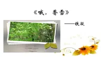 高中语文人教统编版必修 上册3.2* 哦,香雪优秀课件ppt