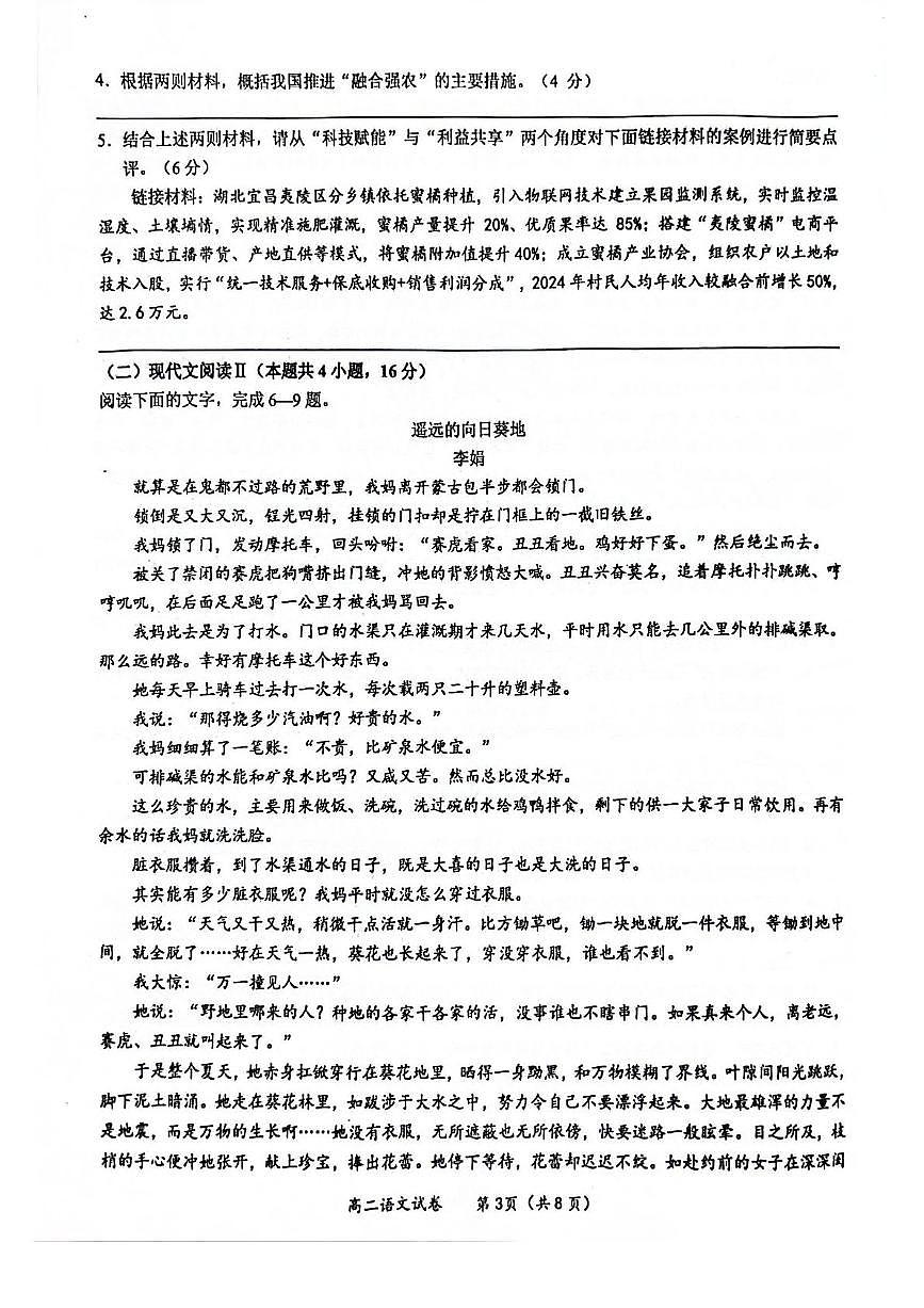 广西南宁市部分学校2024-2025学年高二下学期6月期末考试 语文 PDF版含解析第3页
