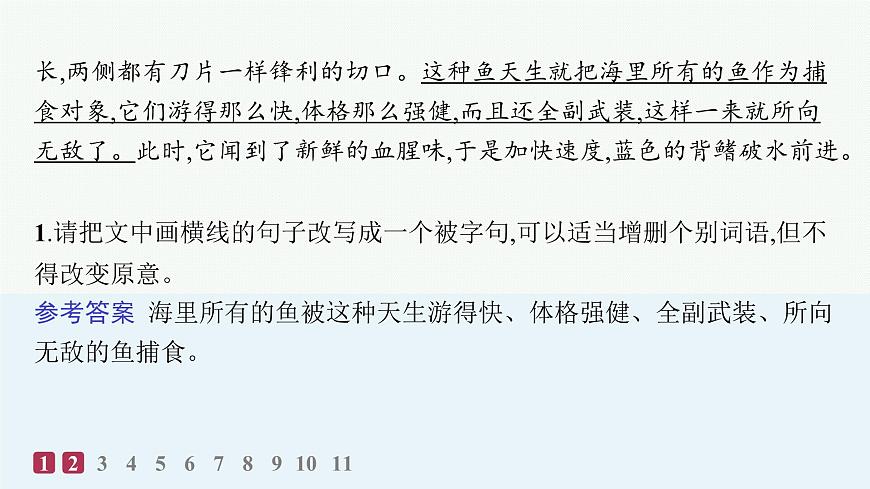 10　老人与海(节选)（分层作业课件）第3页