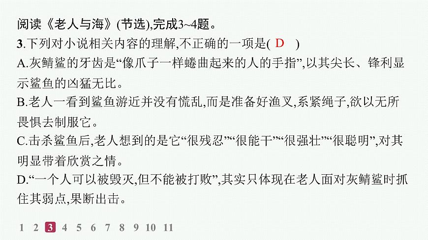 10　老人与海(节选)（分层作业课件）第5页