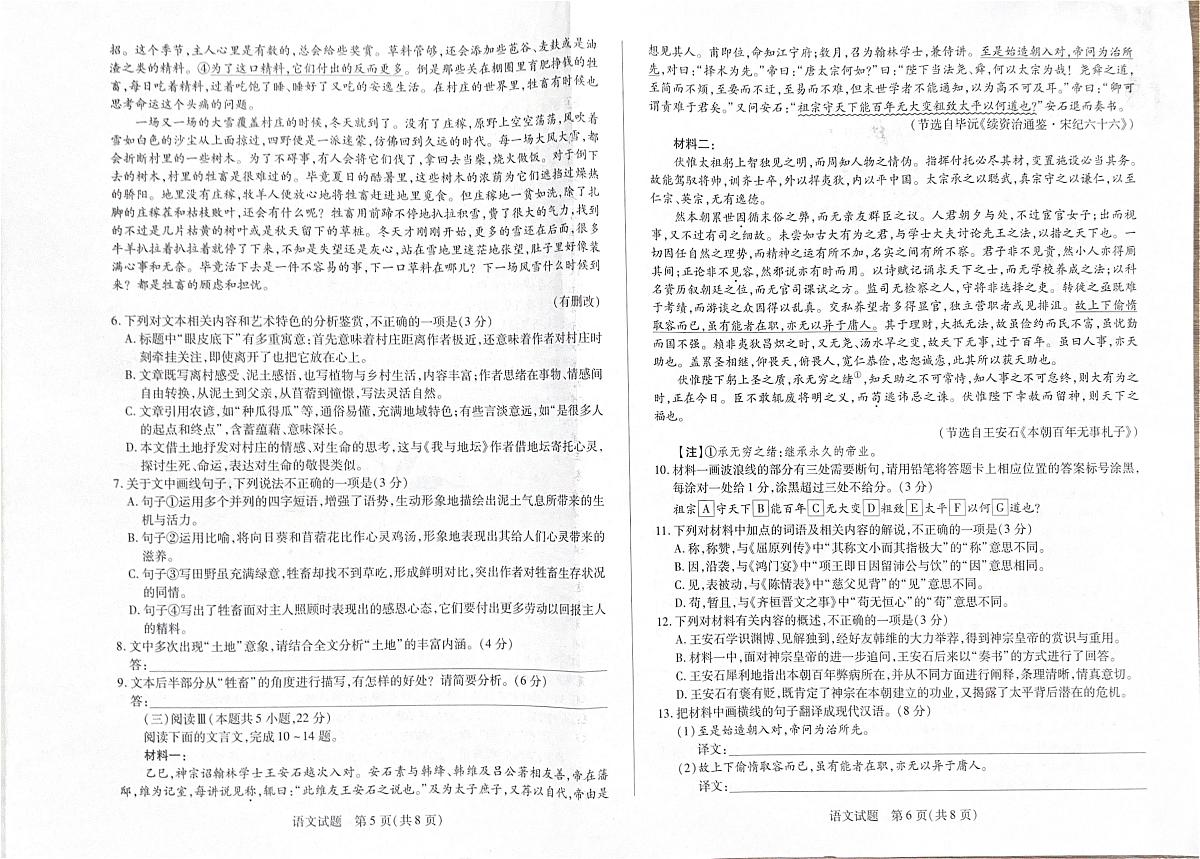 河南省安阳市2026届高三上学期调研考试语文试题（PDF版附解析）第3页