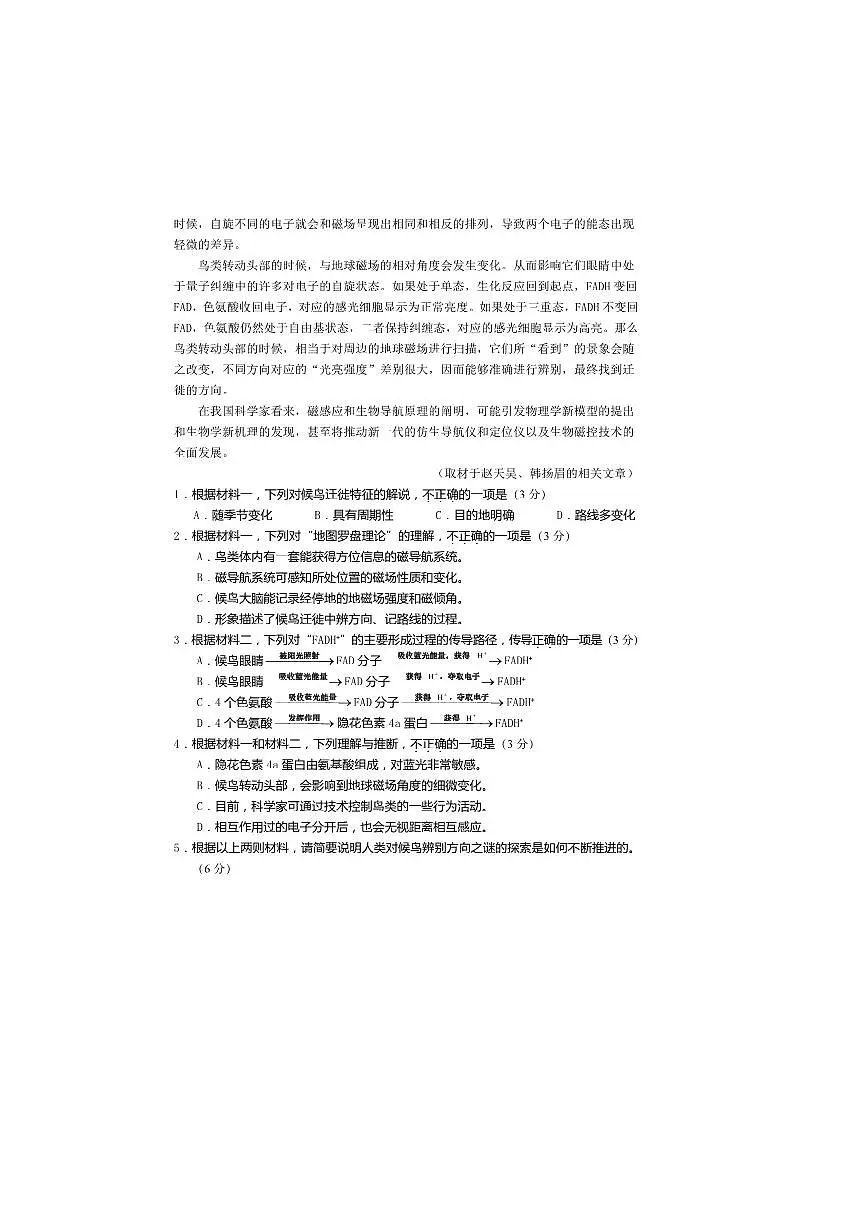 2024～2025学年北京市区、校高三上期中语文试卷(含答案)第3页