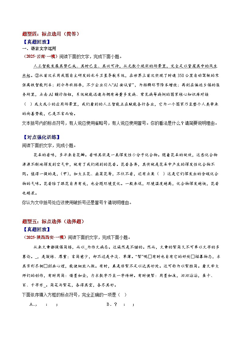 2026届高三一轮专项复习 语文 标点符号 Word版无答案第3页