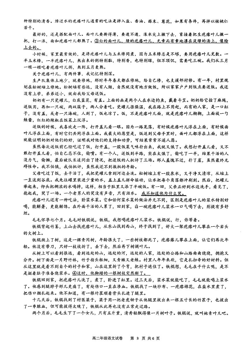 安徽省合肥市普通高中六校联盟2025-2026学年高二上学期11月期中考试语文试题第3页