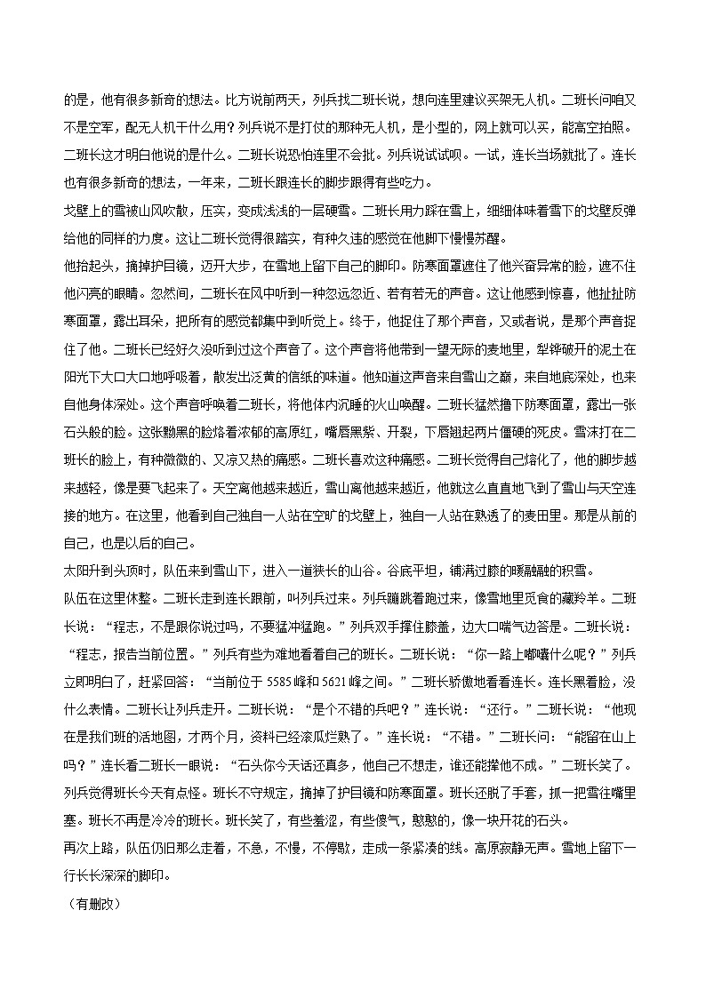 2024-2025学年海南省海口市海南中学高二（上）期末语文试卷-自定义类型第2页