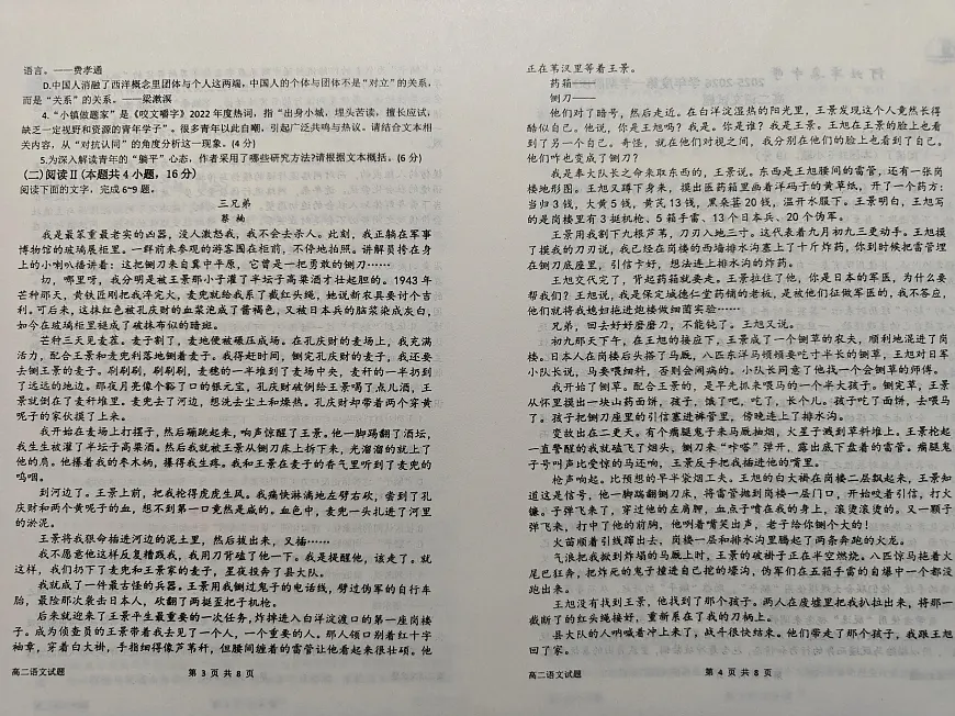 河北省石家庄市辛集中学2025-2026学年高二年级上学期阶段四语文试题（月考）第2页