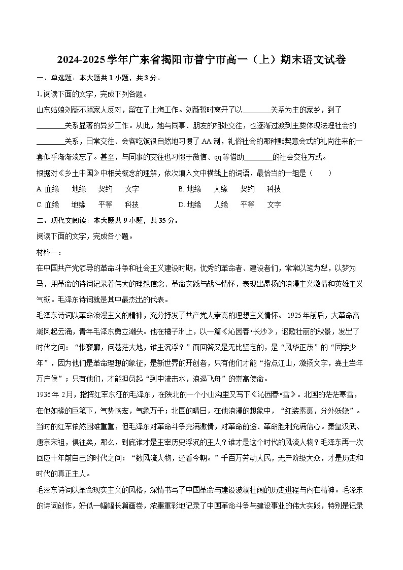 2024-2025学年广东省揭阳市普宁市高一（上）期末语文试卷-自定义类型第1页