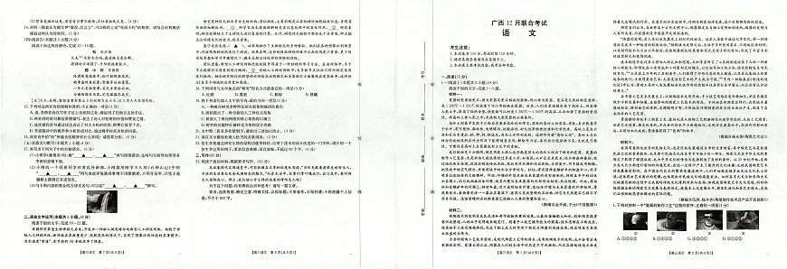 广西省2025届高三上学期12月联考（26-182C）语文试卷+答案第1页