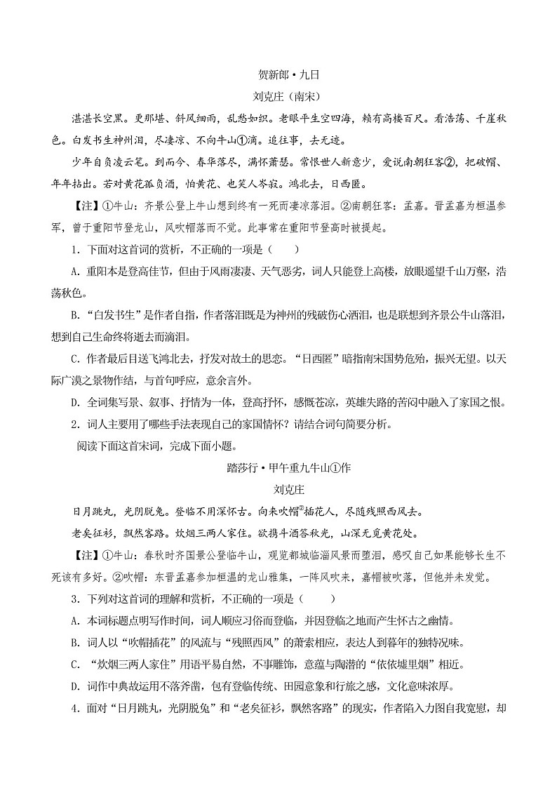 2025年新高考语文古诗文阅读闯关练习——《贺新郎》（含答案）第3页