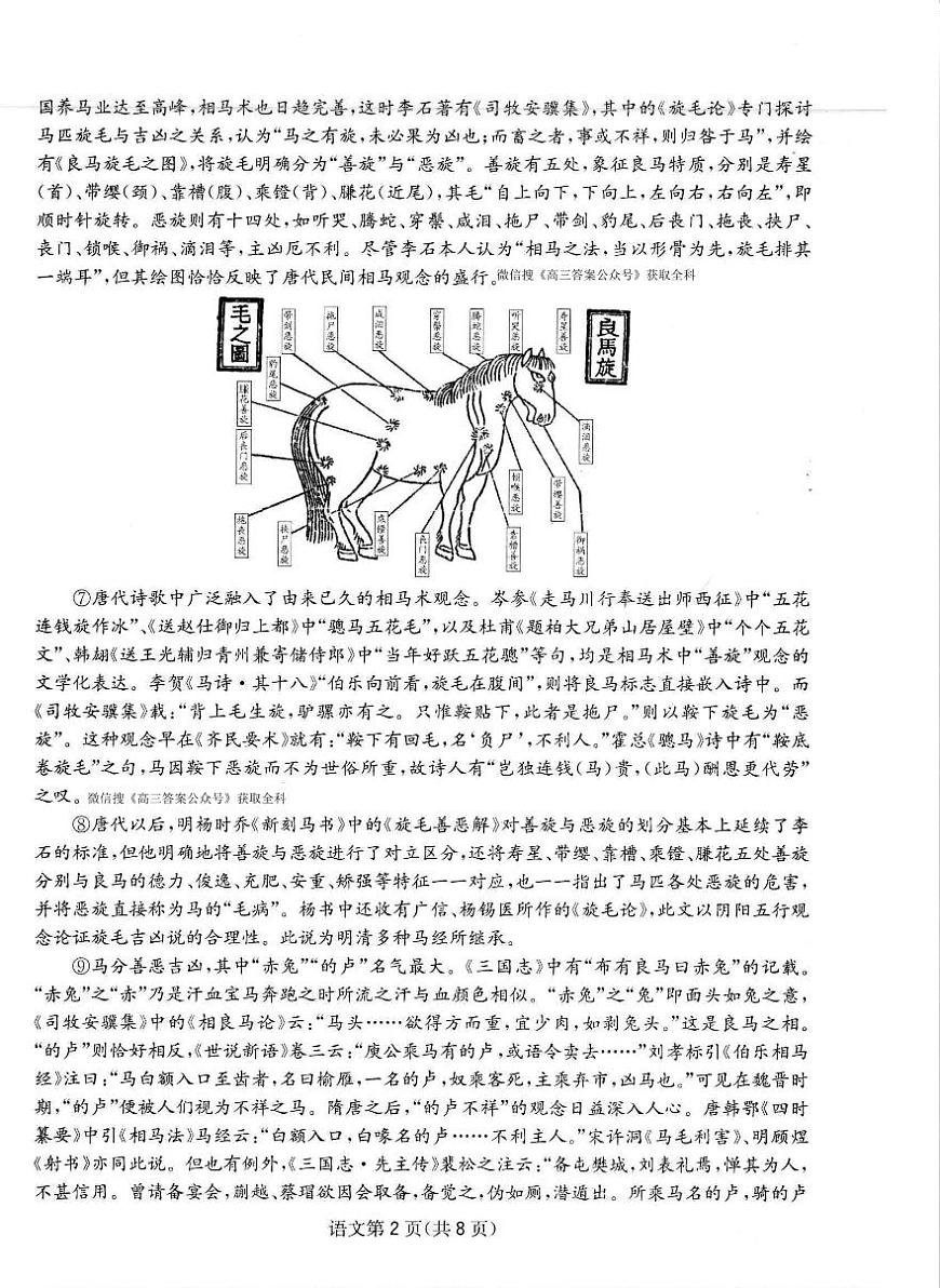 2026届高三上学期1月期末语文综合素质测评试题无答案第2页