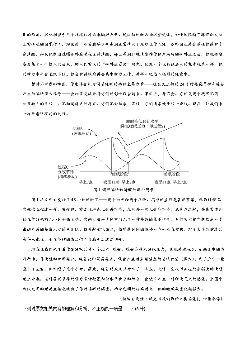 高考语文二轮考点巩固卷信息理解与分析（原卷版）第2页