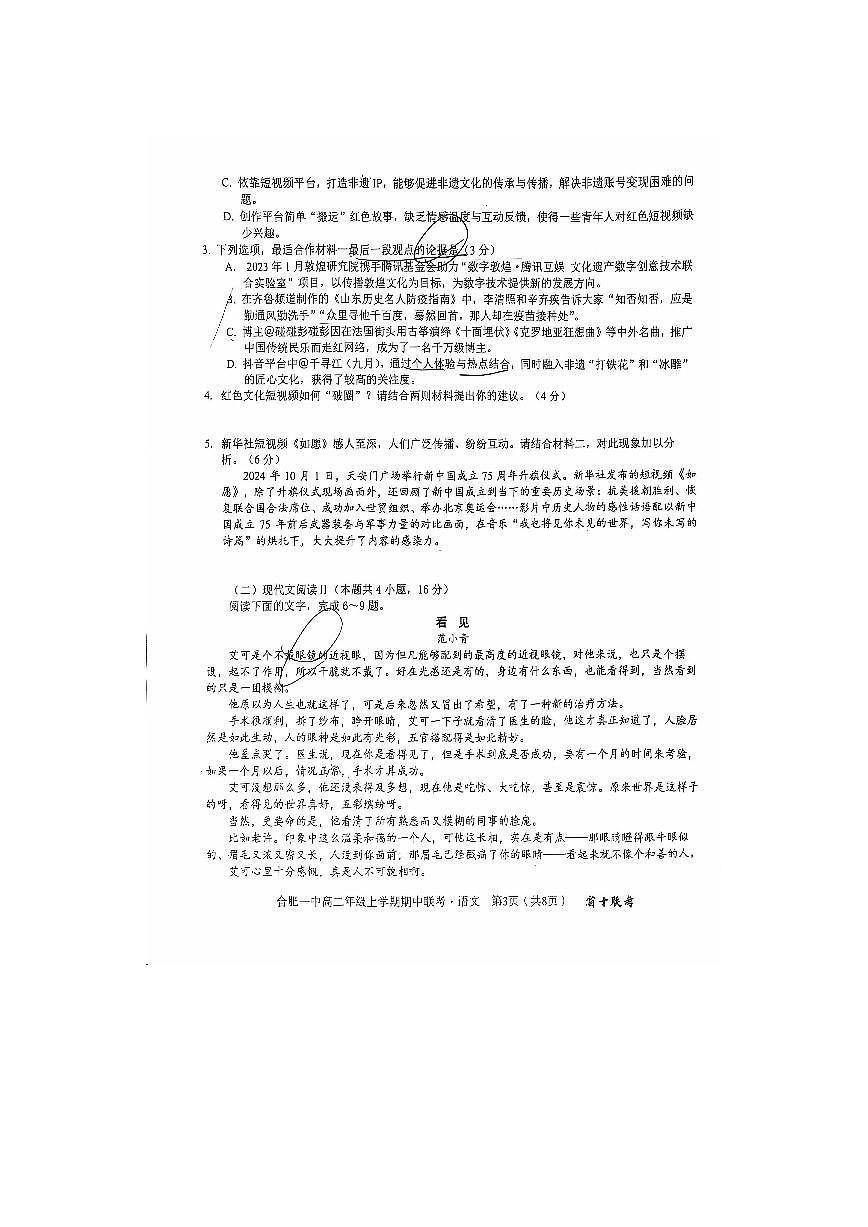 安徽省省十联考（合肥一中）2024年11月高二期中联考语文试题(1)第3页