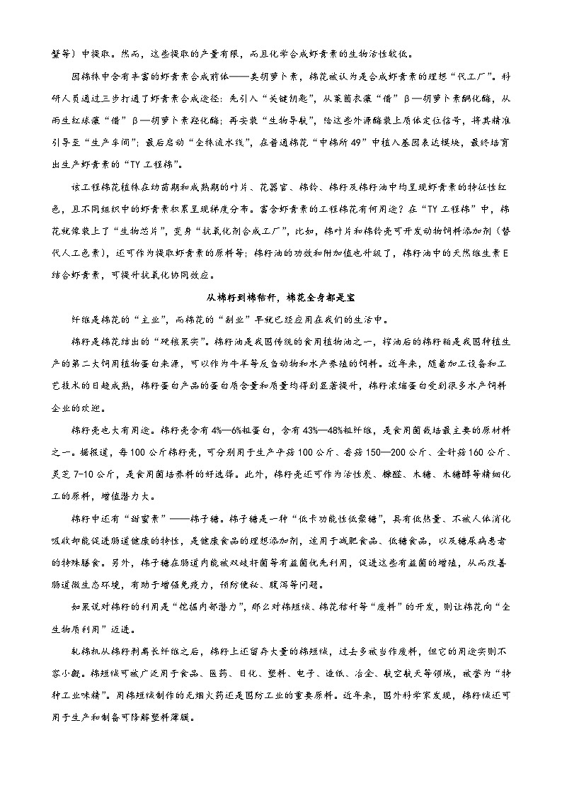 河南周口市2025-2026学年高二上学期2月期末语文试题（含答案）（含解析）第2页