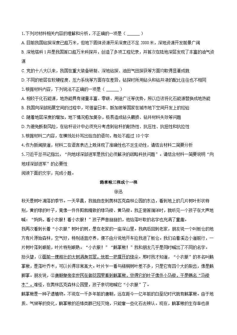 湖北省宜昌市部分学校2025-2026学年高三（上）期末语文试卷B第3页