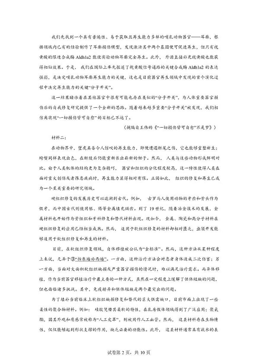 2025-2026学年河北省石家庄市辛集市辛集中学高二下学期开学收心练习语文试题（含答案）第2页