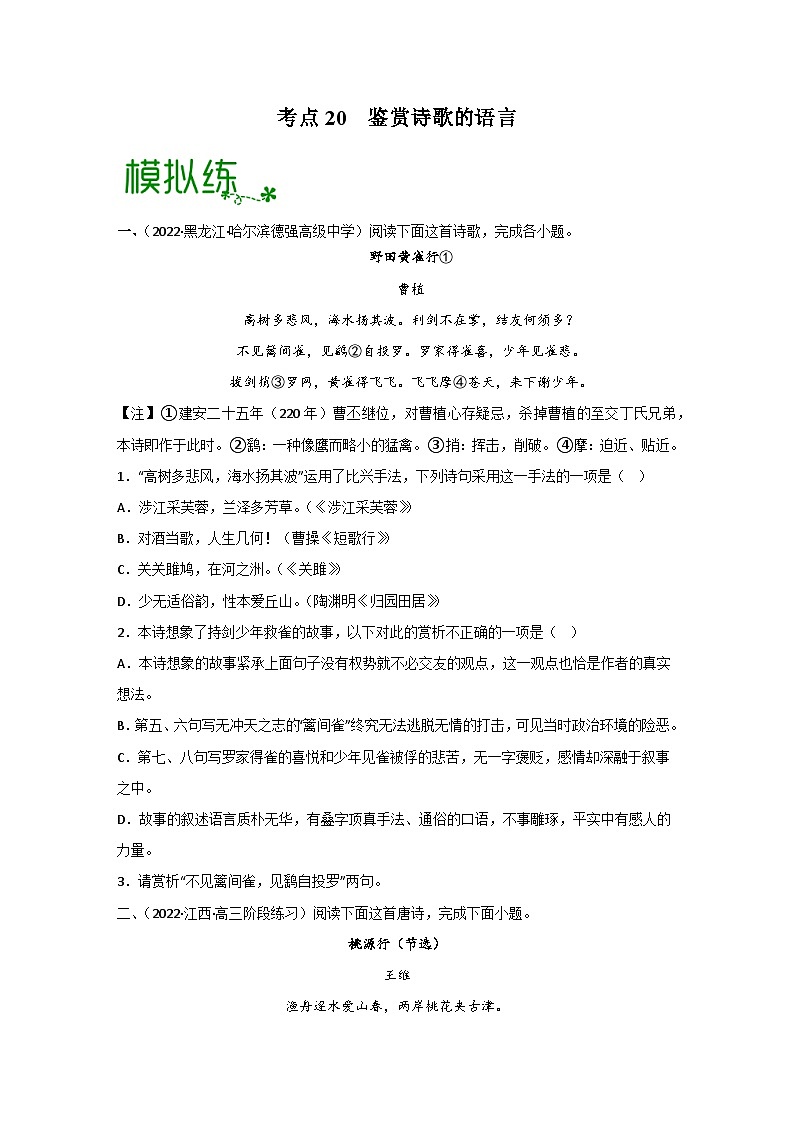 高考语文一轮复习考点检测考点20 鉴赏诗歌的语言（原卷版）第1页