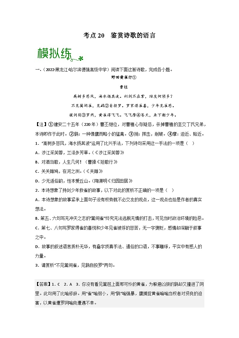 高考语文一轮复习考点检测考点20 鉴赏诗歌的语言（解析版）第1页