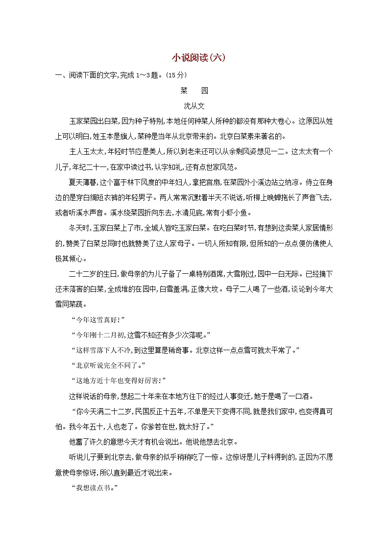 2021版高考语文总复习集训提升练十七小说阅读（六）（含解析）新人教版01