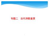 2021年高考语文总复习第2部分  专题2  古代诗歌鉴赏