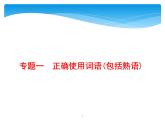 2021年高考语文总复习第3部分  专题1  正确使用词语(包括熟语)