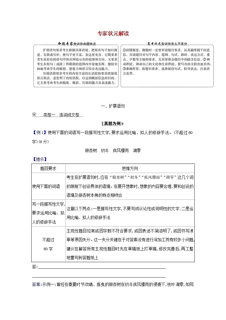 2021版高考语文总复习第三部分语言文字运用5状元解读（含解析）新人教版 试卷01