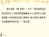 （新）部編版語文必修上冊課件：核心素養(yǎng)探究 第一單元 2賞析小說的環(huán)境描寫和敘事視角