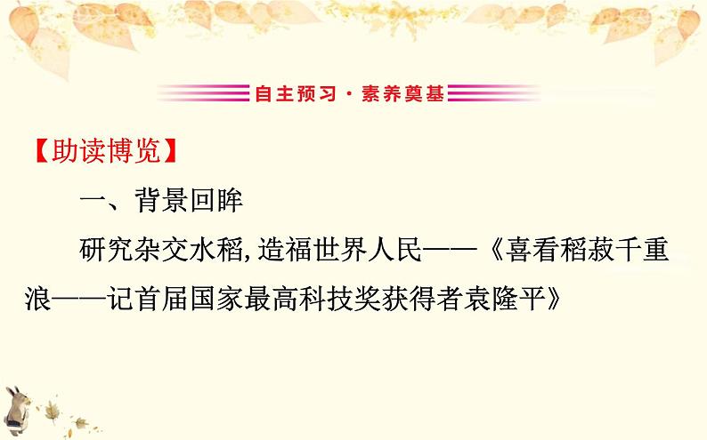 （新）部编版语文必修上册课件：2.4喜看稻菽千重浪——记首届国家最高科技奖获得者袁隆平第3页