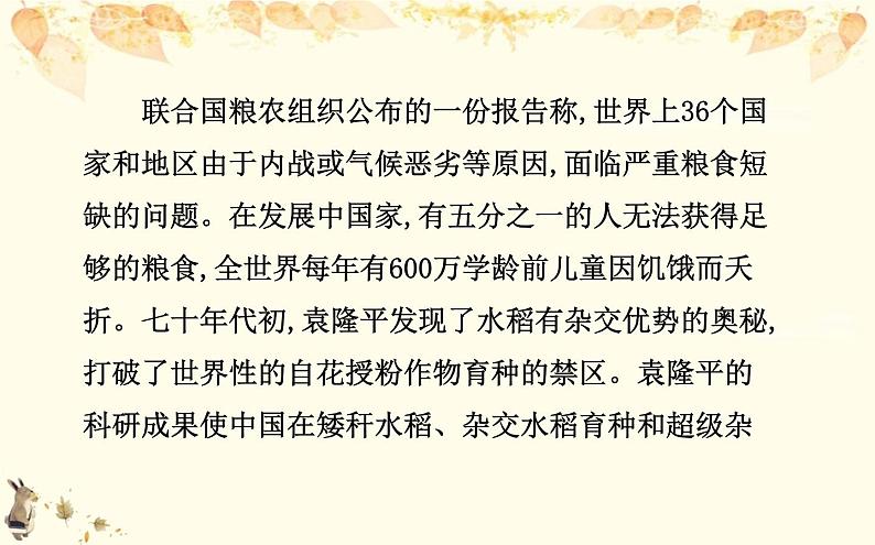 （新）部编版语文必修上册课件：2.4喜看稻菽千重浪——记首届国家最高科技奖获得者袁隆平第4页