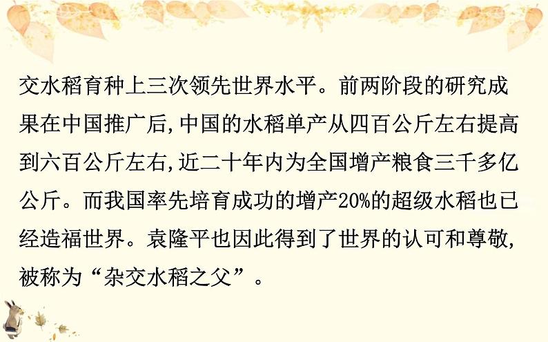 （新）部编版语文必修上册课件：2.4喜看稻菽千重浪——记首届国家最高科技奖获得者袁隆平第5页