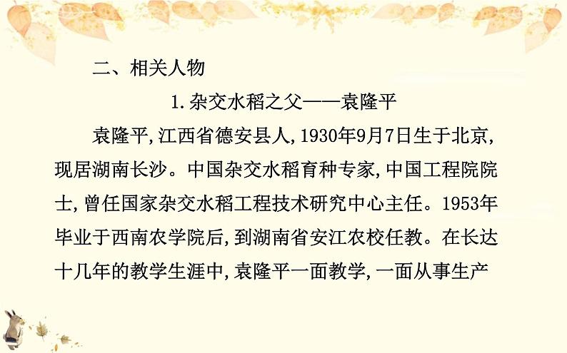 （新）部编版语文必修上册课件：2.4喜看稻菽千重浪——记首届国家最高科技奖获得者袁隆平第7页