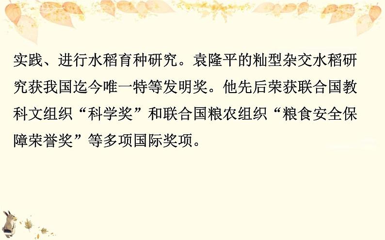 （新）部编版语文必修上册课件：2.4喜看稻菽千重浪——记首届国家最高科技奖获得者袁隆平第8页