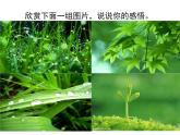 人教版高中语文必修二课件：3 囚绿记
