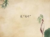 统编版高中语文必修下册：9《说“木叶”》PPT课件